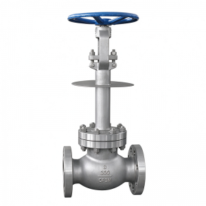 Cryogenic Globe Valve