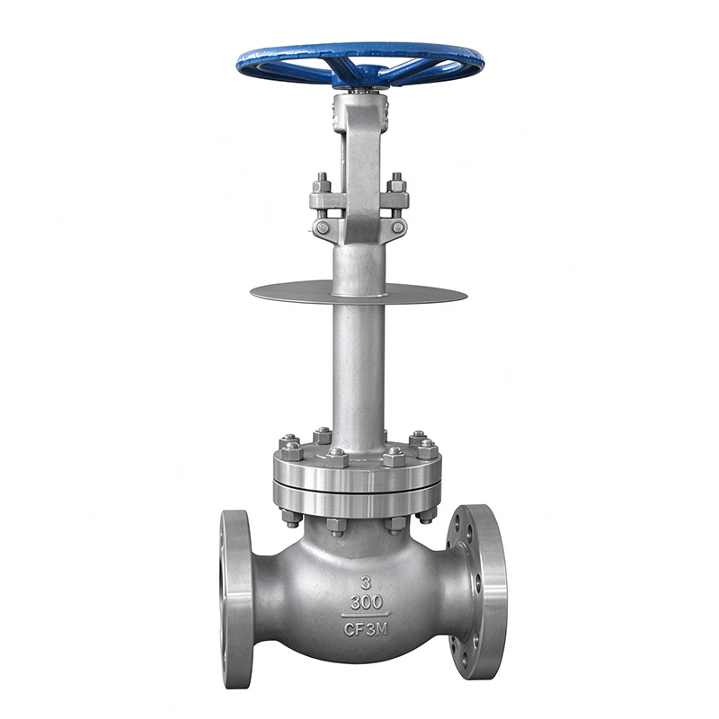 Cryogenic Globe Valve