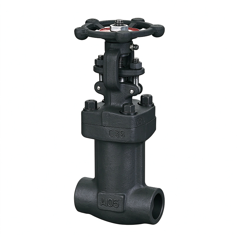 Bellows Sealed Forged Steel Globe Valve