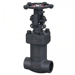 Bellows Sealed Wedge Forged Steel Gate Valve
