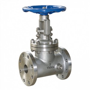Jacketed Gate Valve