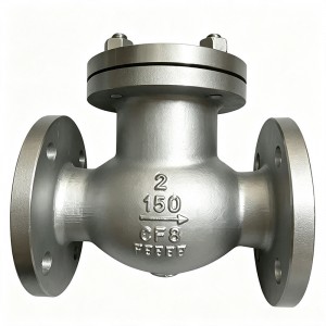 Lift Check Valve