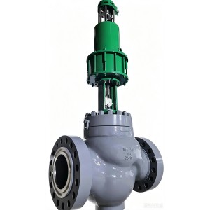 Single Seat Control Valve