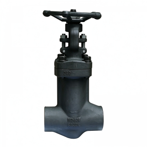 Bellows Sealed Forged Steel Globe Valve