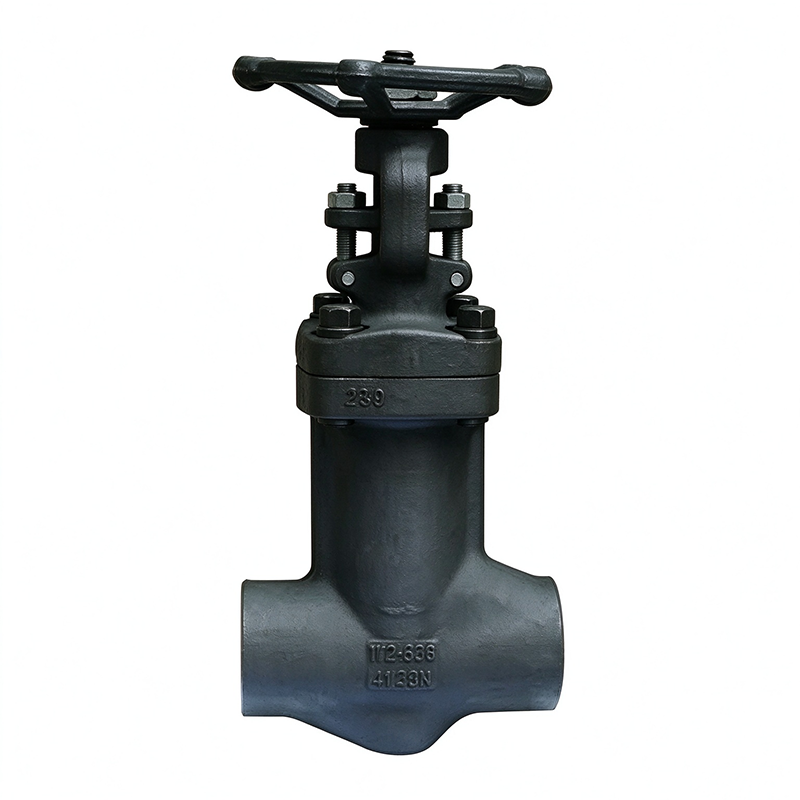 Bellows Sealed Forged Steel Globe Valve